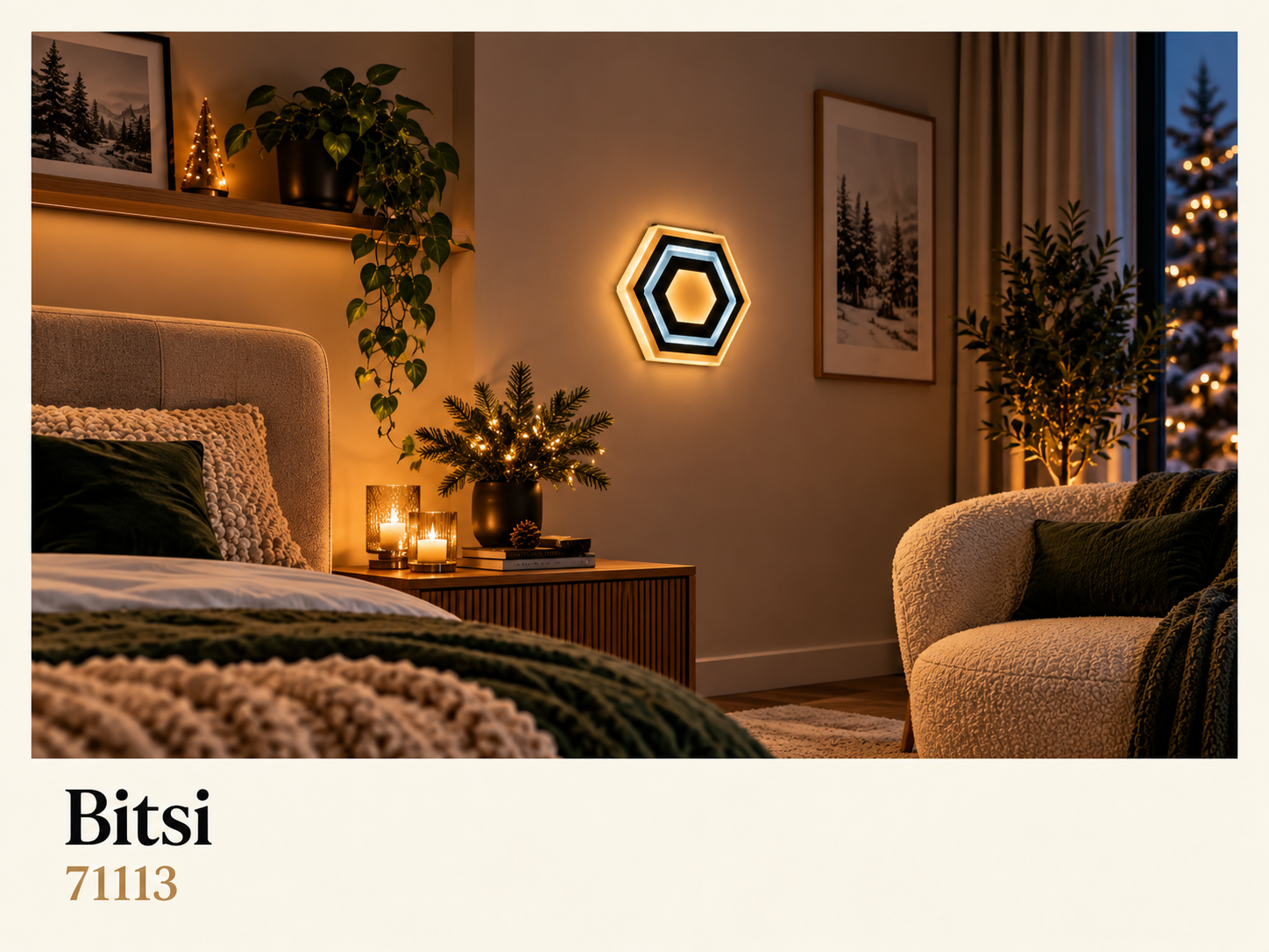 Bitsi-71113.png Bitsi-71113.png