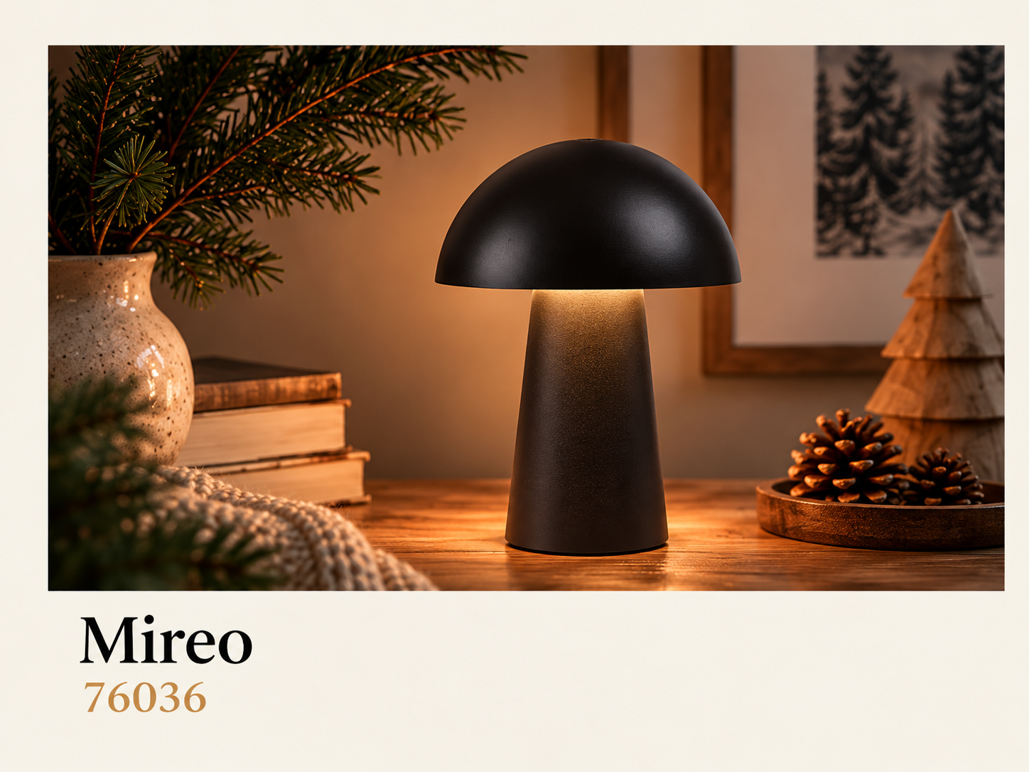 Mireo-76036.png Mireo-76036.png