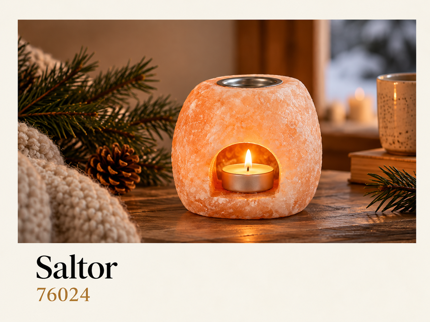 saltor-76024.png saltor-76024.png
