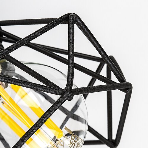 Zeus (3137)
