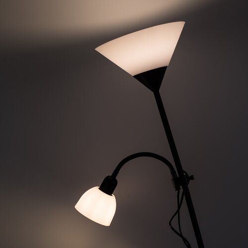 Action (4062)