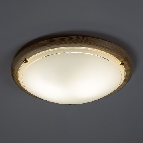 Ufo (5411)