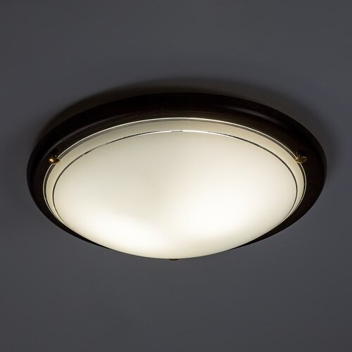 Ufo (5417)