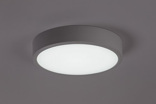 Lauri (71244)