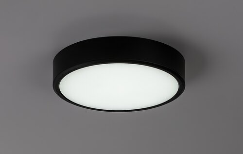Lauri (71246)