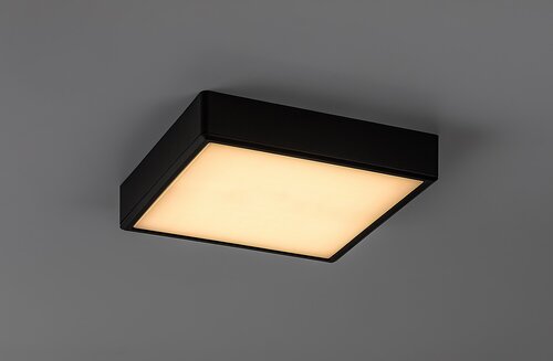 Lauri (71247)