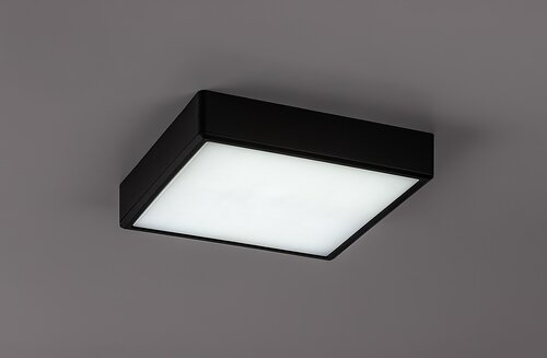 Lauri (71247)