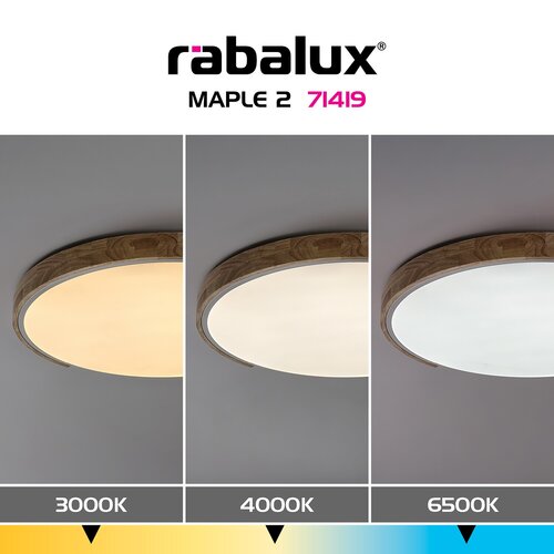 Maple2 (71419)