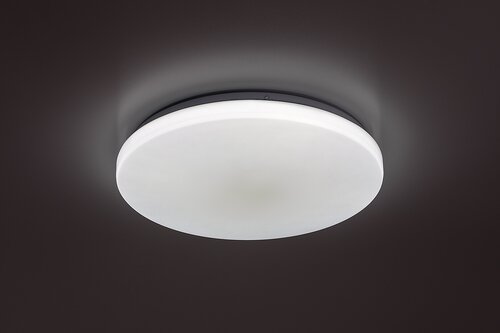 Danny2 (71443)