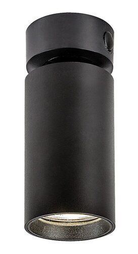 Yorli (73081)