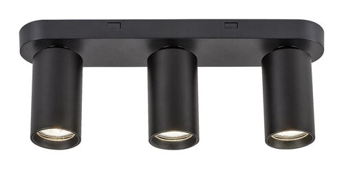 Yorli (73083)