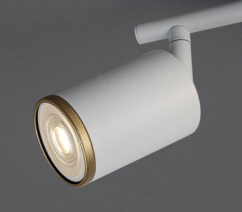 Nolie (73105)