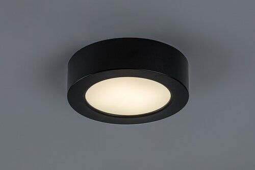 Shaun Plus (75074)