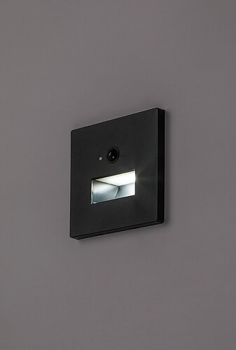 Lunca (77197)