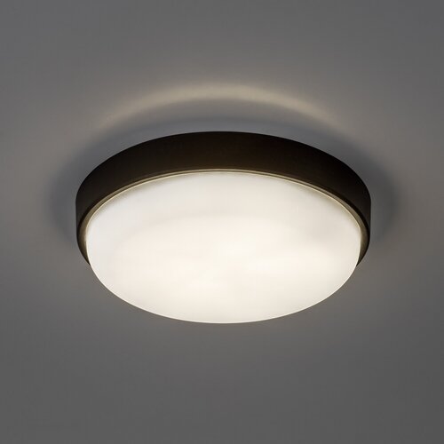 Hort2 (77223)
